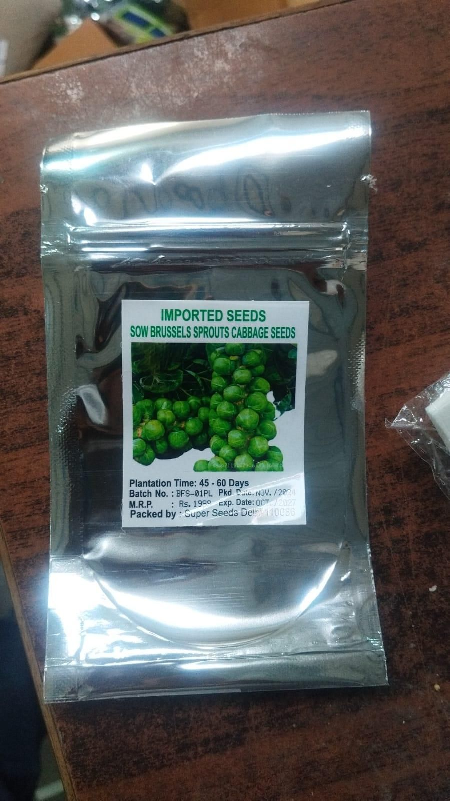 Cabbage organic brussels sprouts seeds