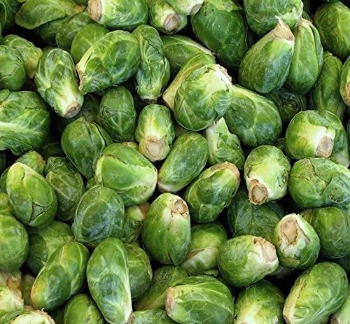 Cabbage organic brussels sprouts seeds