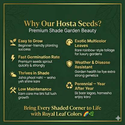 Royal Leaf Hosta Seeds + FREE Plant Supplement