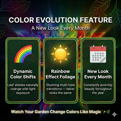 Royal Leaf Hosta Seeds + FREE Plant Supplement