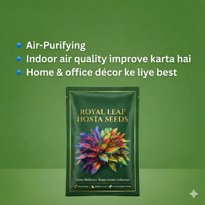 Royal Leaf Hosta Seeds + FREE Plant Supplement