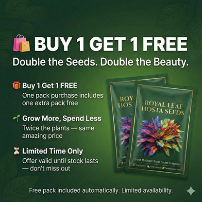 Royal Leaf Hosta Seeds + FREE Plant Supplement