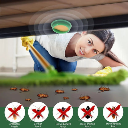 Cockroach Killer Gel (Buy 12 Get 12 FREE)