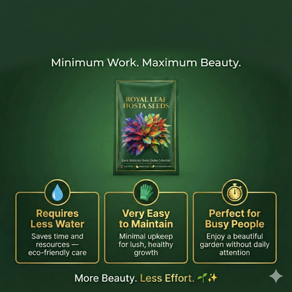 Royal Leaf Hosta Seeds + FREE Plant Supplement