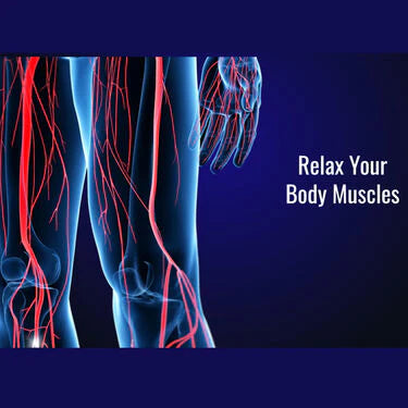 EMS Foot & Full Body Massager for Pain Relief